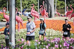 BIB: , 
                            <button type="button" onclick="openModal(27794236)" class="btn btn-primary btn-sm float-right btn-popup" data-toggle="modal" data-target=".modal-high-quality">
                        <i class="fas fa-shopping-cart"></i> Add to Cart
                    </button>
                                            <button type="button" onclick="isThisMe(27794236, true)" class="btn btn-success btn-sm float-right btn-popup btn-isme hidden" data-toggle="tooltip" data-placement="bottom" title="นี่คือรูปของคุณใช่ไหม คลิกที่นี่เพื่อเอาเข้าอัลบั้ม">
                        <i class="fas fa-plus"></i> Add to album
                    </button>
                    <button type="button" onclick="isThisMe(27794236, false)" class="btn btn-warning btn-sm float-right btn-popup btn-isnotme hidden">
                        <i class="fas fa-ban"></i> Remove from album
                    </button>